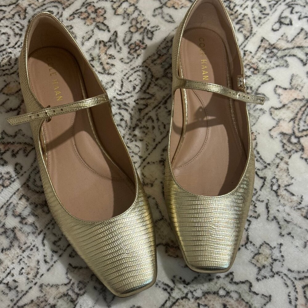 Cole Haan Bridge Mary-Jane Ballet